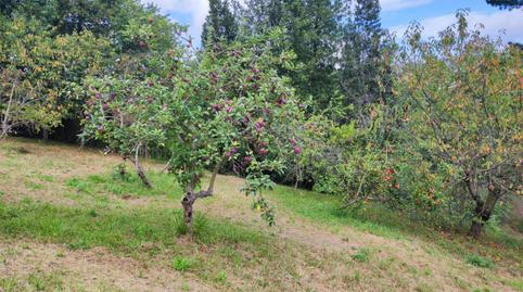 Foto 4 de Urbanitzable en venda a Lavandera, Asturias