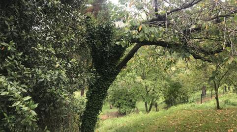 Foto 5 de Urbanitzable en venda a Lavandera, Asturias