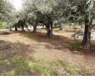 Constructible Land for sale in  Madrid Capital