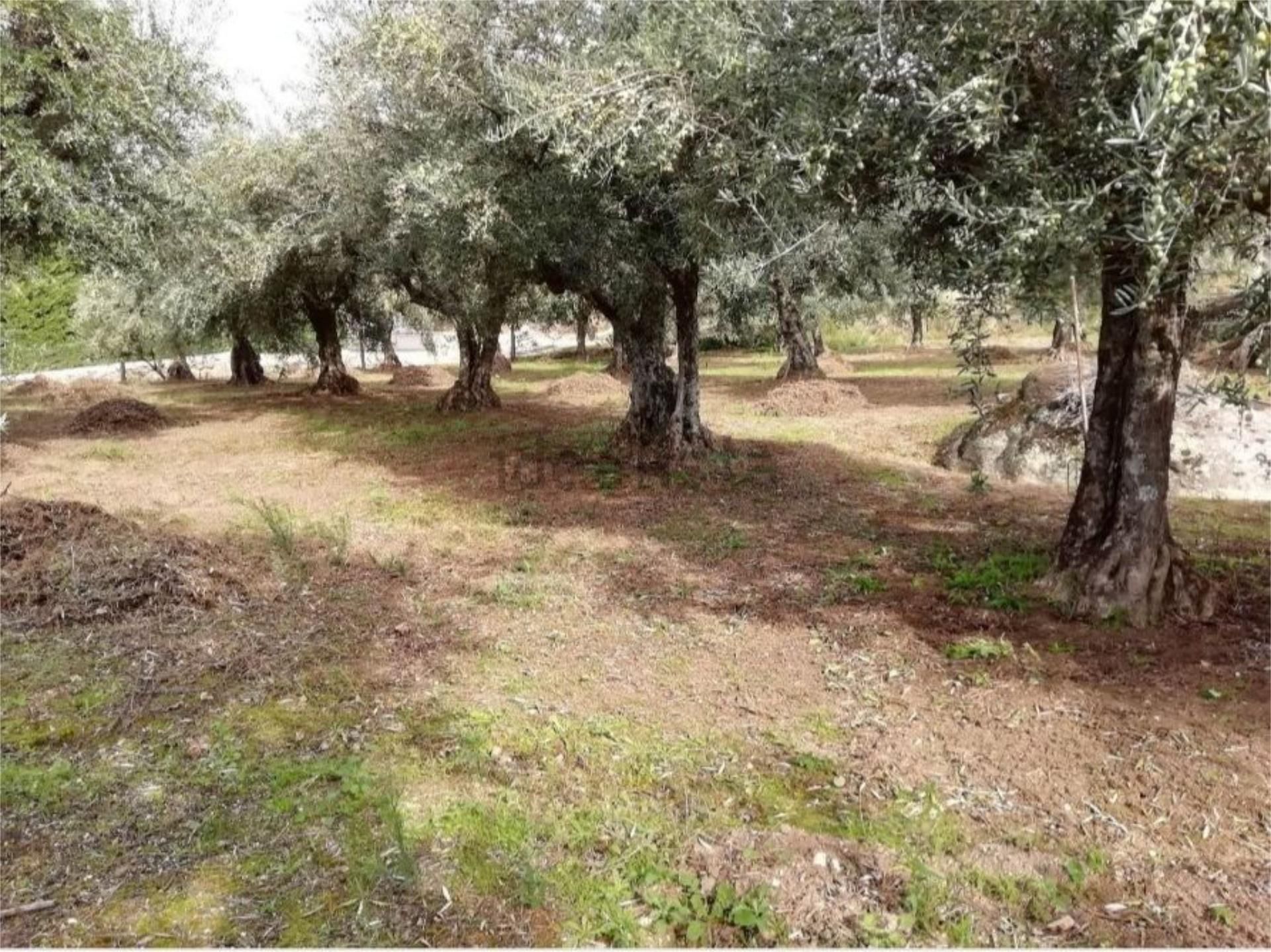 Piso en venta en Jaraíz de la Vera