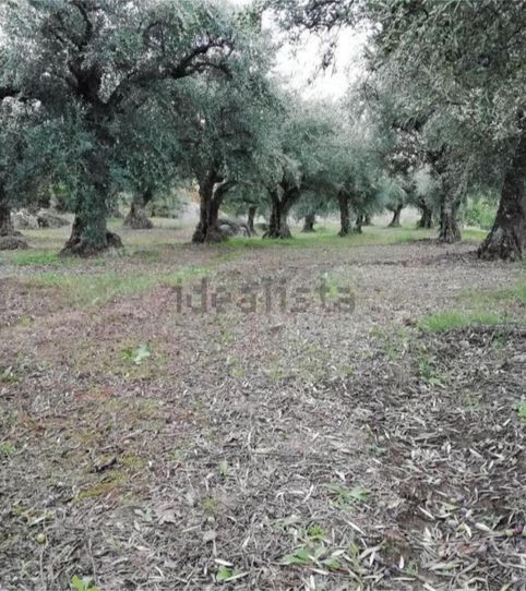 Foto 2 de Piso en venta en Calle Cuacos de Yuste, 4, Jaraíz de la Vera, Cáceres