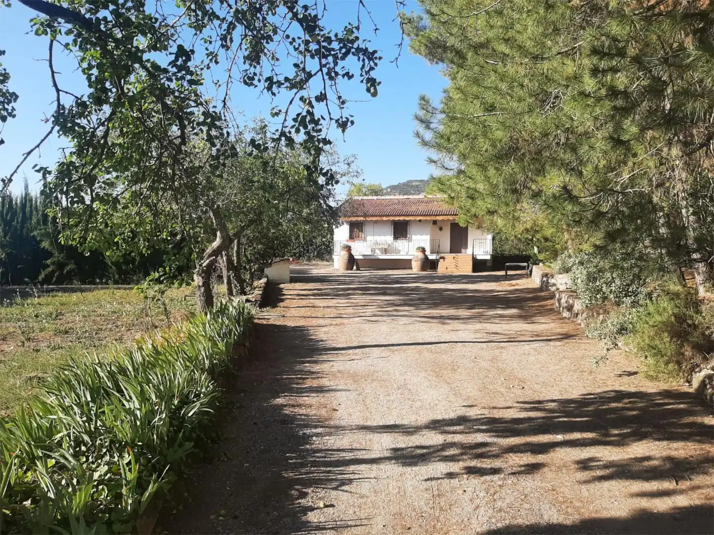 Exterior view of Houses for sale in Quesada  with Private garden, Terrace and Swimming Pool
