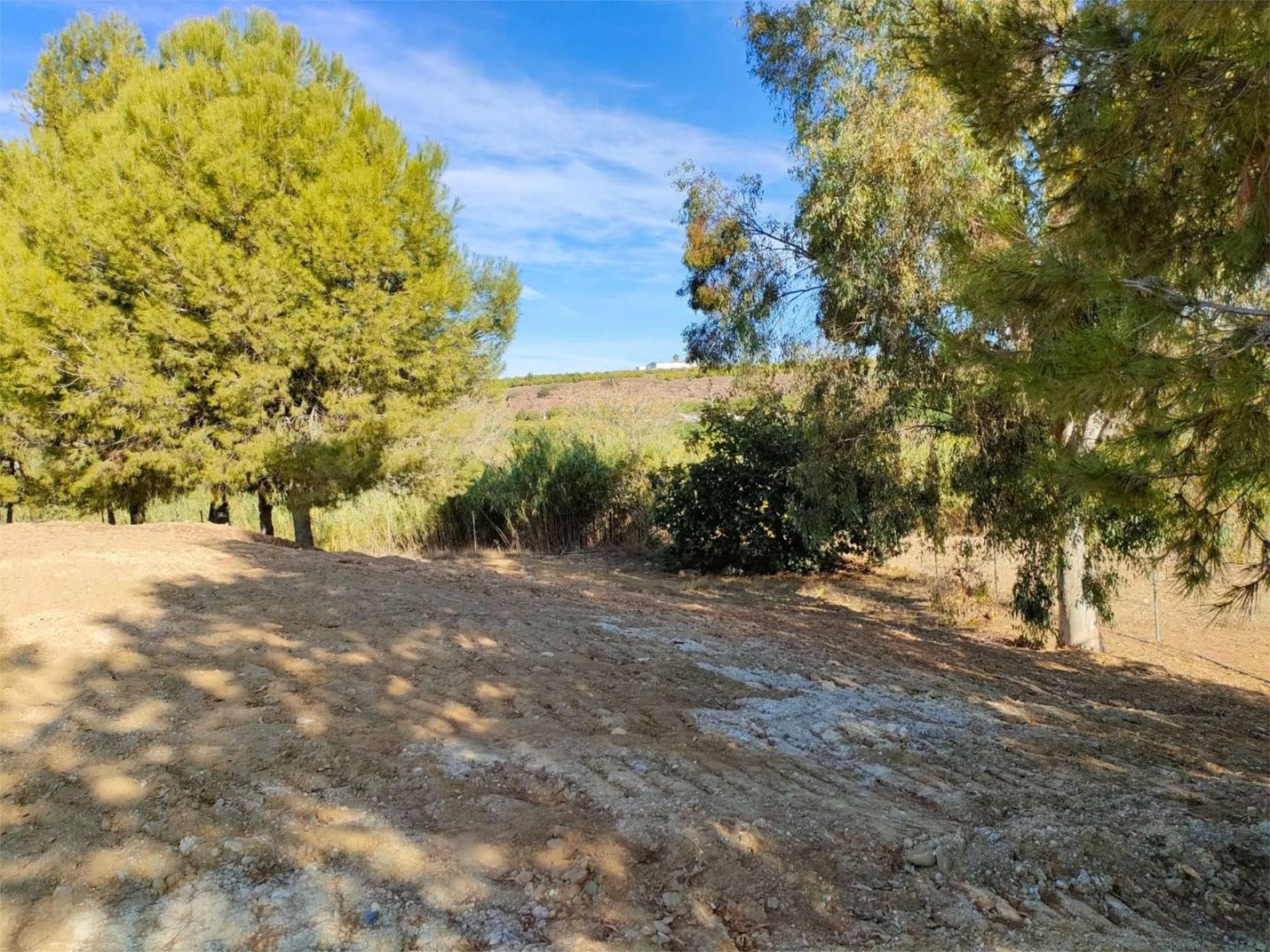 Non-constructible Land for sale in Alhaurín de la Torre