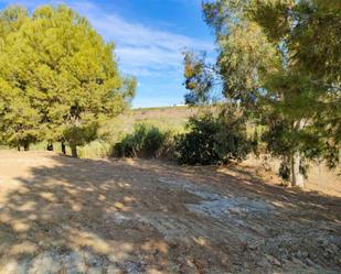 Non-constructible Land for sale in Alhaurín de la Torre