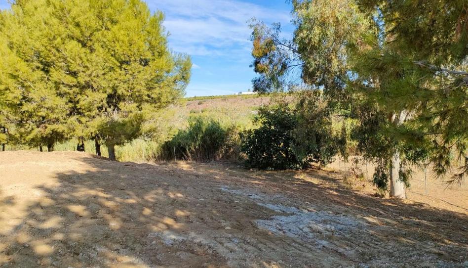 Non-constructible Land for sale in El Romeral - Peñón de Zapata, Málaga - image 1 Photo 1 of Non-constructible Land for sale in El Romeral - Peñón de Zapata, Málaga