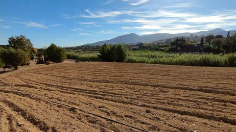 Non-constructible Land for sale in El Romeral - Peñón de Zapata, Málaga - image 3 Photo 3 of Non-constructible Land for sale in El Romeral - Peñón de Zapata, Málaga
