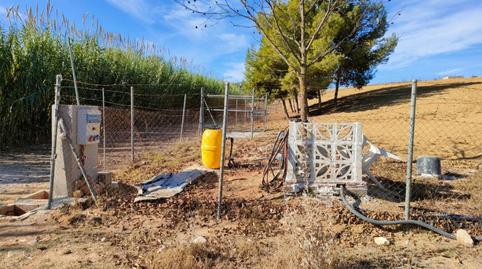 Non-constructible Land for sale in El Romeral - Peñón de Zapata, Málaga - image 4 Photo 4 of Non-constructible Land for sale in El Romeral - Peñón de Zapata, Málaga