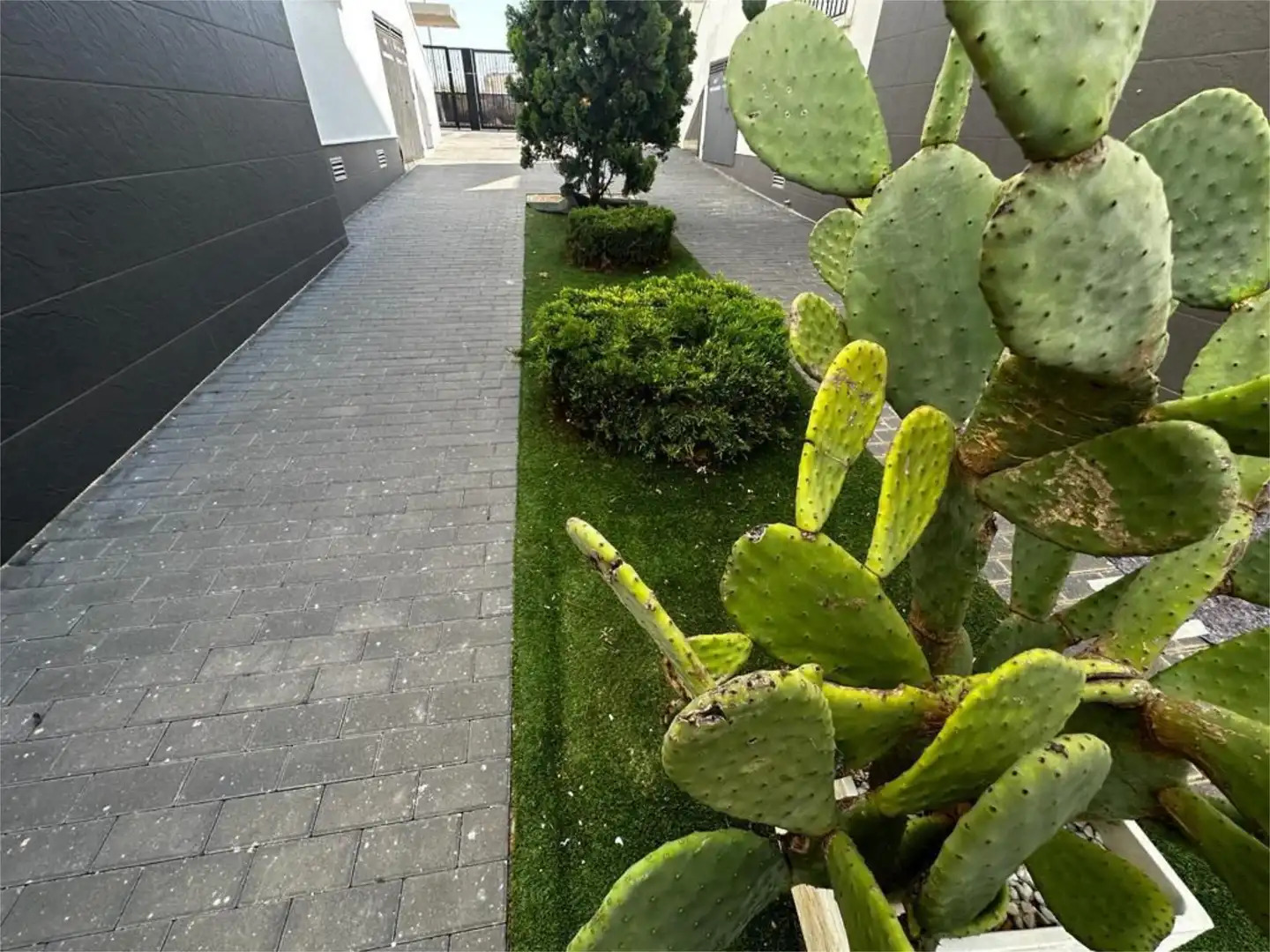 Wohnung zum Verkauf in Calle Cecilio Gallego Alaminos, 11, Parque Acuático - Sector 25 Garten von Wohnung zum Verkauf in Torrevieja mit Klimaanlage, Privatgarten und Terrasse