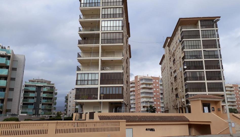 Apartament de lloguer a Avenida Ferrandis Salvador, 276, La Curva, Castellón - imatge 1 Foto 1 de Apartament de lloguer a Avenida Ferrandis Salvador, 276, La Curva, Castellón