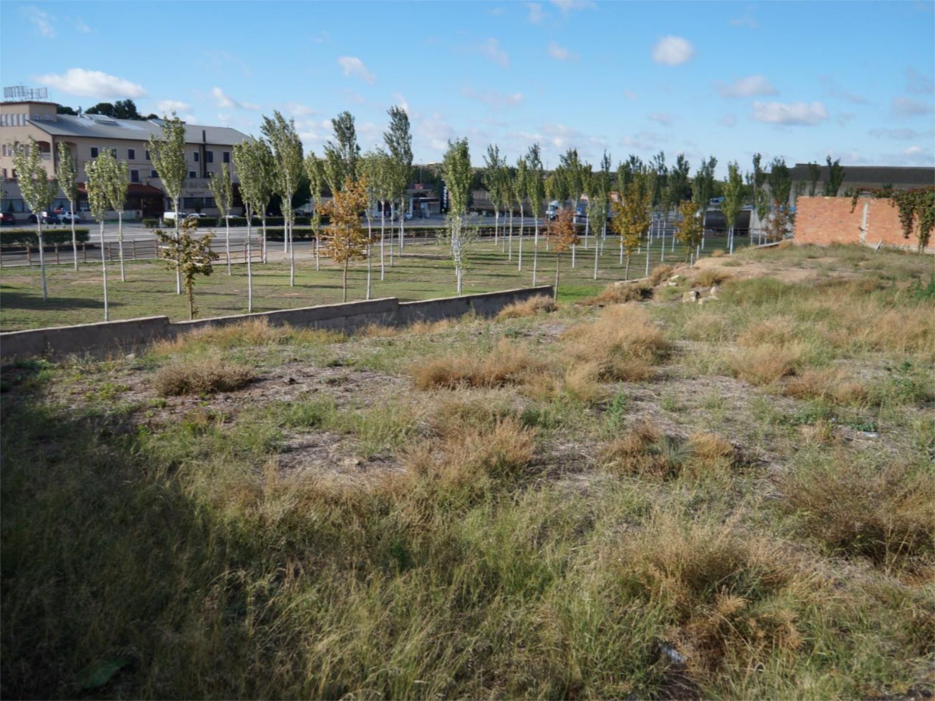 Urbanitzable en venda en Vilagrassa