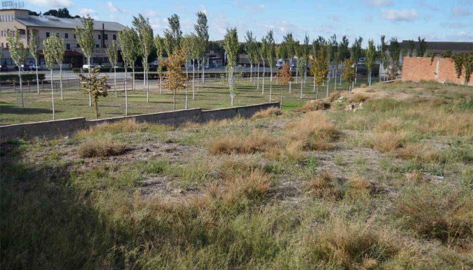 Constructible Land for sale in Carrer de Les Eres, 14, Vilagrassa, Lleida - image 1 Photo 1 of Constructible Land for sale in Carrer de Les Eres, 14, Vilagrassa, Lleida