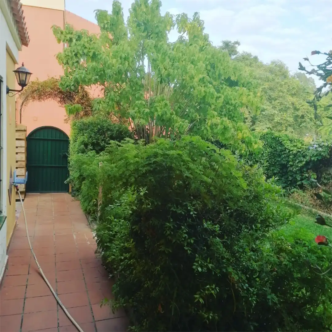 Habitación en Calle la Angostura, 28, Los Barrios