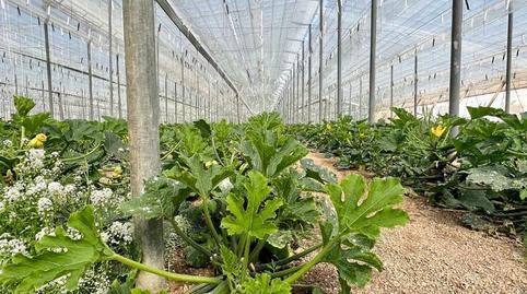 Finca rústica en venda a Las Negras, Almería - imatge 2 Foto 2 de Finca rústica en venda a Las Negras, Almería