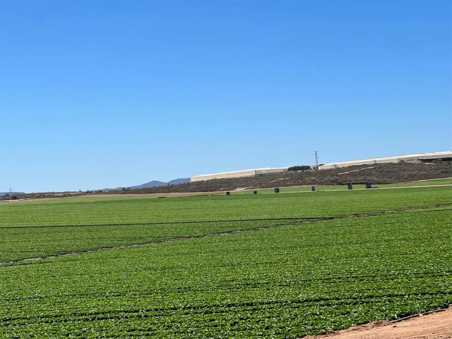 Vista exterior de Finca rústica en venda en Níjar