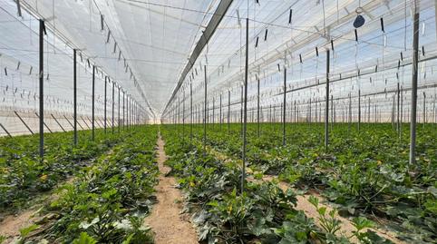 Finca rústica en venda a Las Negras, Almería - imatge 4 Foto 4 de Finca rústica en venda a Las Negras, Almería