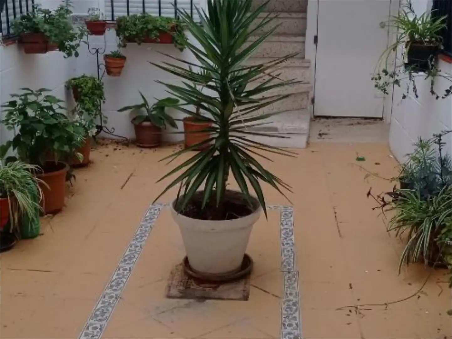 Wohnung zum Verkauf in Calle Santa María del Mar, 10, Centro - La Costilla Garten von Wohnung zum Verkauf in Rota