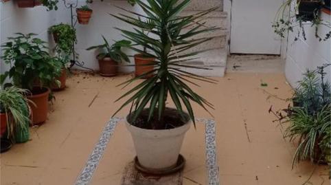 Foto 3 de Pis en venda a Calle Santa María del Mar, 10, Centro - La Costilla, Cádiz