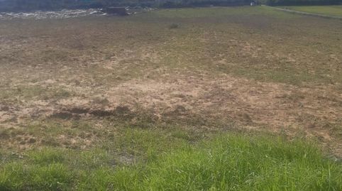 Foto 3 de Finca rústica en venta en Calle Doctor Juan Rivera, 1, Núcleo urbano, Aljaraque