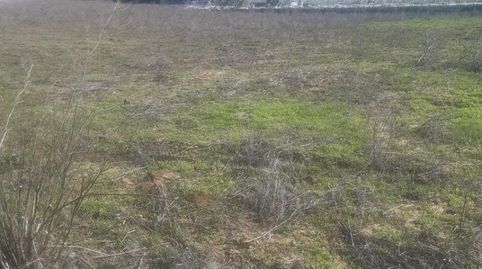 Foto 2 de Finca rústica en venta en Calle Doctor Juan Rivera, 1, Núcleo urbano, Aljaraque