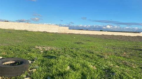 Photo 2 of Country house for sale in Cañada de la Asomada, 46, Pelagatos - Pago del Humo, Chiclana de la Frontera