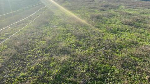 Photo 4 of Country house for sale in Cañada de la Asomada, 46, Pelagatos - Pago del Humo, Chiclana de la Frontera