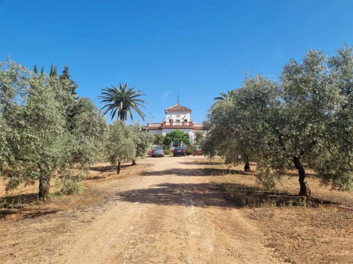 Finca rústica en venta en Calle San Antonio, 81, Aguilar de la Frontera Vista exterior de Finca rústica en venta en Aguilar de la Frontera con Jardín privado, Terraza y Piscina