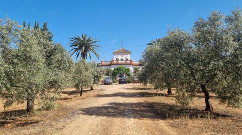 Country house for sale in Calle San Antonio, 81, Aguilar de la Frontera, Córdoba - image 2 Photo 2 of Country house for sale in Calle San Antonio, 81, Aguilar de la Frontera, Córdoba