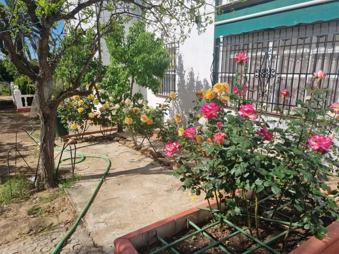 Finca rústica en venta en Calle San Antonio, 81, Aguilar de la Frontera Jardín de Finca rústica en venta en Aguilar de la Frontera con Jardín privado, Terraza y Piscina