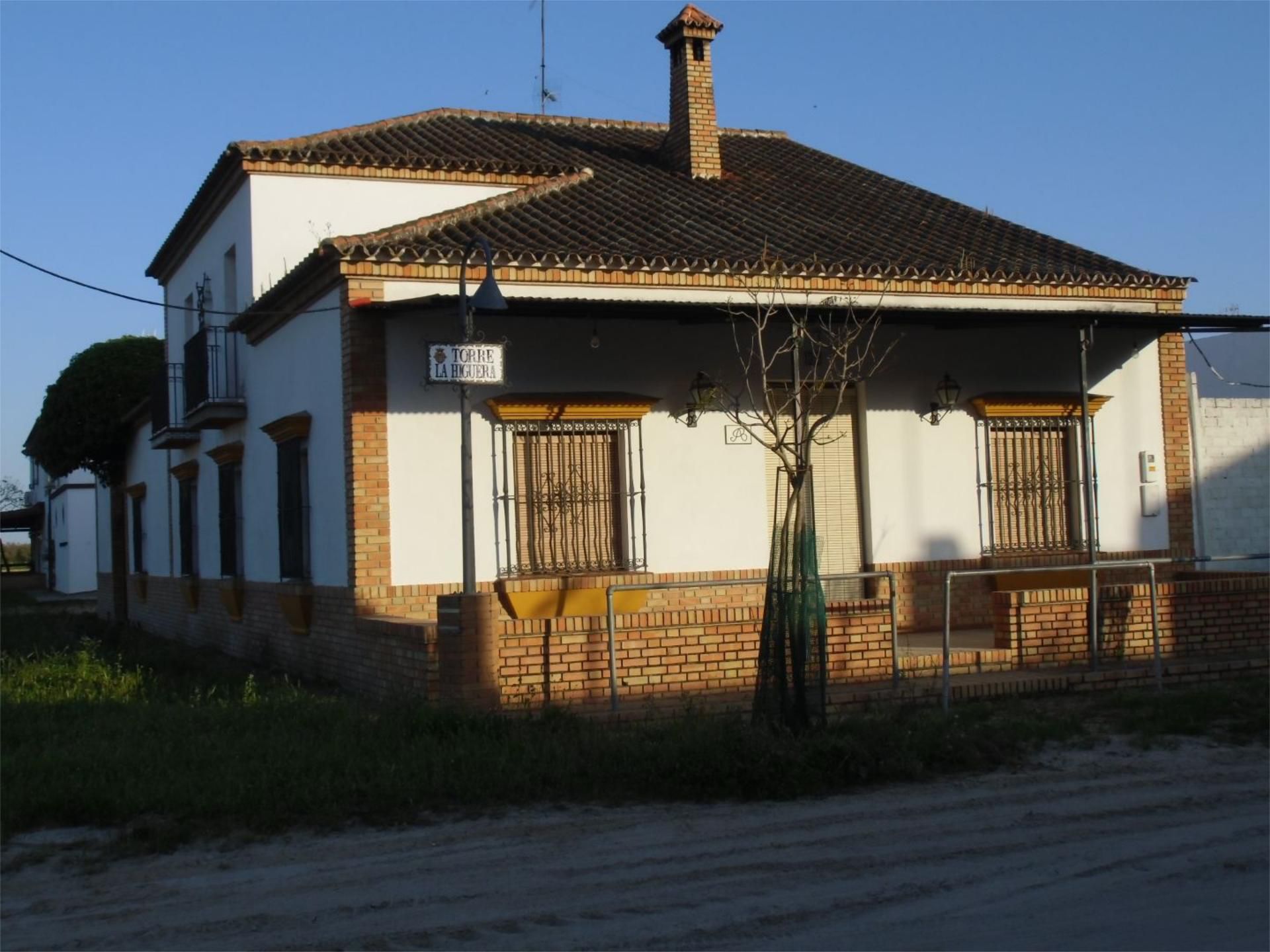 Vista exterior de Casa adosada en venda en Almonte amb Terrassa, Traster i Balcó