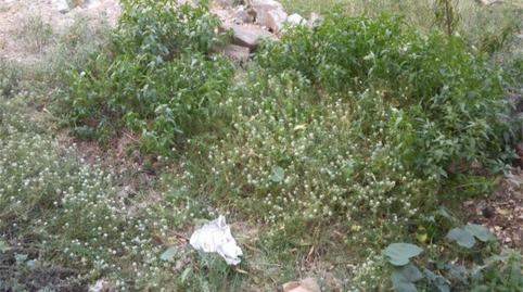 Land for sale in Carrer de Briquets, 58, Les Roquetes, Barcelona - image 5 Photo 5 of Land for sale in Carrer de Briquets, 58, Les Roquetes, Barcelona