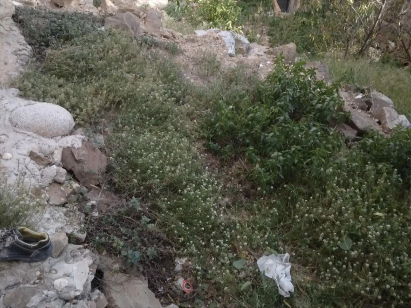 Land for sale in Carrer de Briquets, 58, Les Roquetes Land for sale in Barcelona