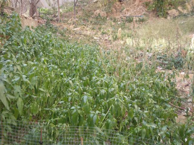 Terreno en Venta en Carrer de Briquets, 58 en Les Roquetes