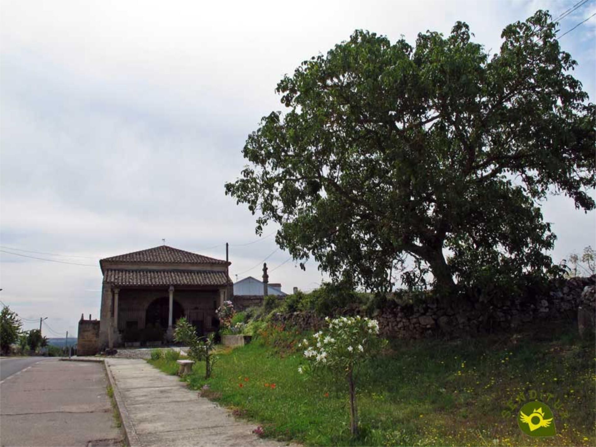 Exterior view of Constructible Land for sale in Masueco