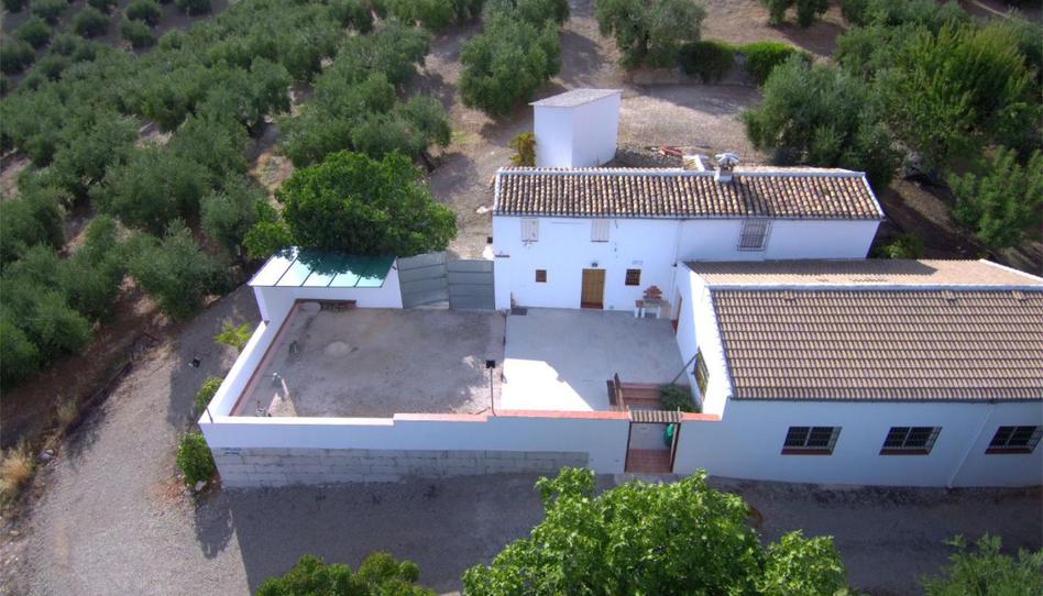 Photo 1 of Country house for sale in Calle Priego de Córdoba, 5, Sector Sur, Córdoba