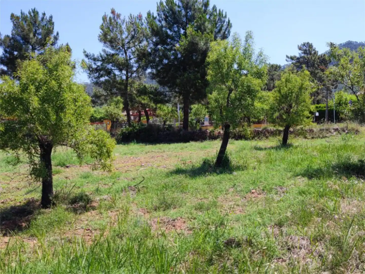 Constructible Land for sale in Carrer Romaní, La Pobla de Tornesa Constructible Land for sale in La Pobla de Tornesa