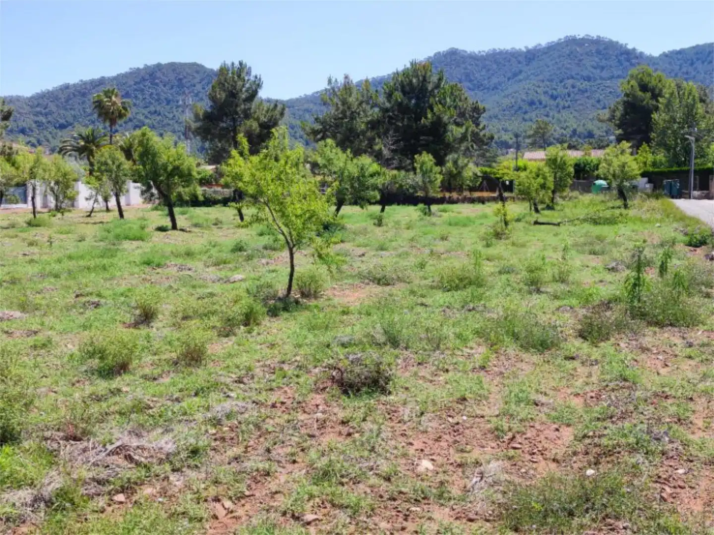 Constructible Land for sale in Carrer Romaní, La Pobla de Tornesa Constructible Land for sale in La Pobla de Tornesa