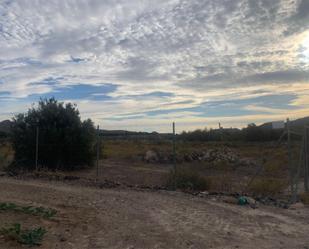 Finca rústica en venda en Lorca