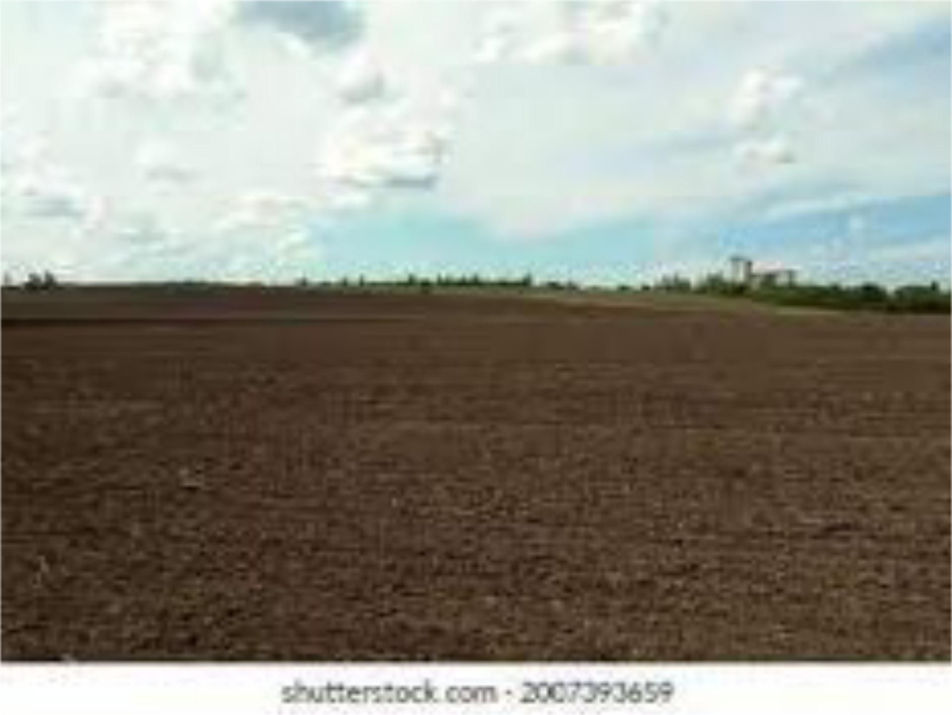 Non-constructible Land for sale in Venta del Moro