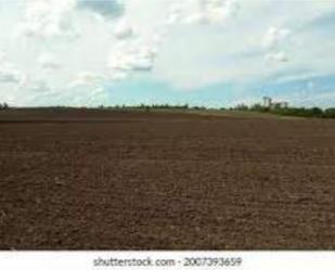 Non-constructible Land for sale in Venta del Moro