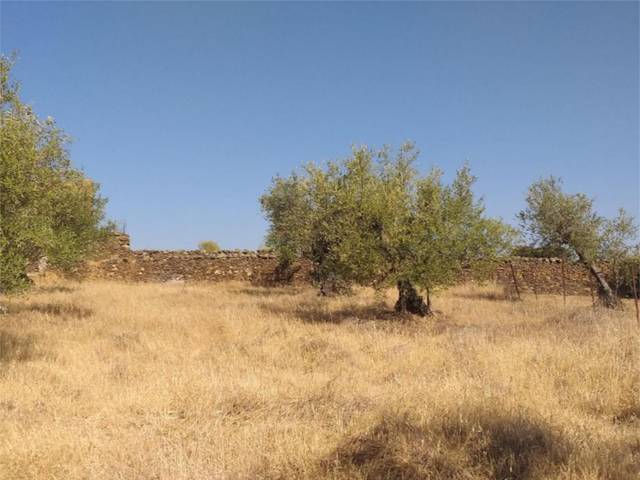 Piso en Venta en Calle Cruz, 56 en Aldeanueva de San Bartolomé