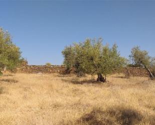 Grundstücke zum verkauf in Aldeanueva de San Bartolomé