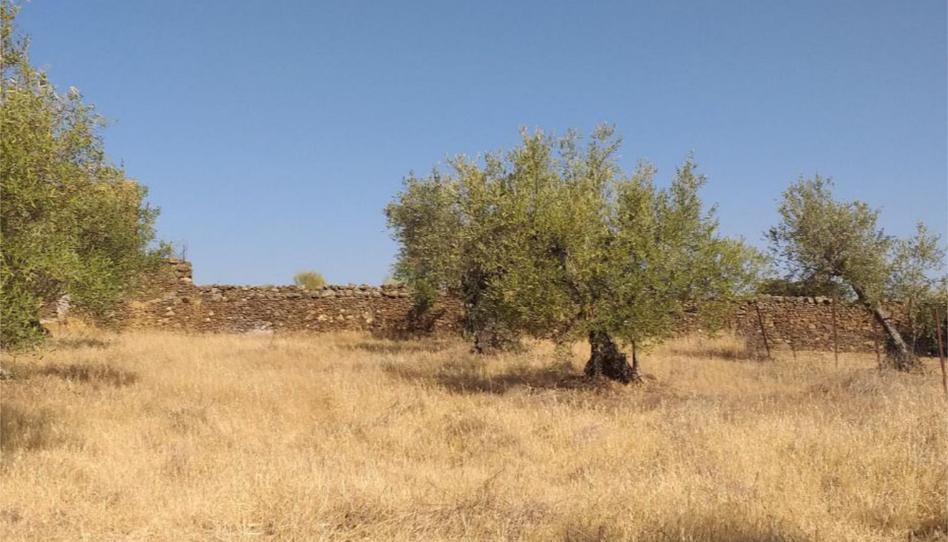 Flat for sale in Calle Cruz, 56, Aldeanueva de San Bartolomé, Toledo - image 1 Photo 1 of Flat for sale in Calle Cruz, 56, Aldeanueva de San Bartolomé, Toledo