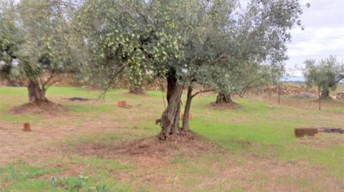 Flat for sale in Calle Cruz, 56, Aldeanueva de San Bartolomé, Toledo - image 3 Photo 3 of Flat for sale in Calle Cruz, 56, Aldeanueva de San Bartolomé, Toledo