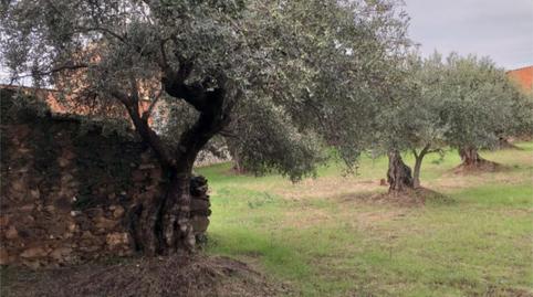 Flat for sale in Calle Cruz, 56, Aldeanueva de San Bartolomé, Toledo - image 5 Photo 5 of Flat for sale in Calle Cruz, 56, Aldeanueva de San Bartolomé, Toledo