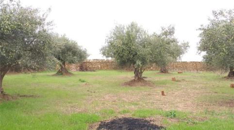 Flat for sale in Calle Cruz, 56, Aldeanueva de San Bartolomé, Toledo - image 4 Photo 4 of Flat for sale in Calle Cruz, 56, Aldeanueva de San Bartolomé, Toledo