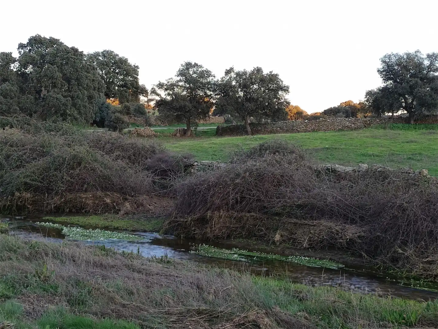 Piso en venta en Aldeanueva de San Bartolomé