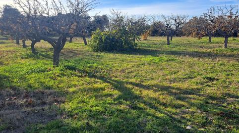 Country house for sale in Gema, Zamora - image 3 Photo 3 of Country house for sale in Gema, Zamora