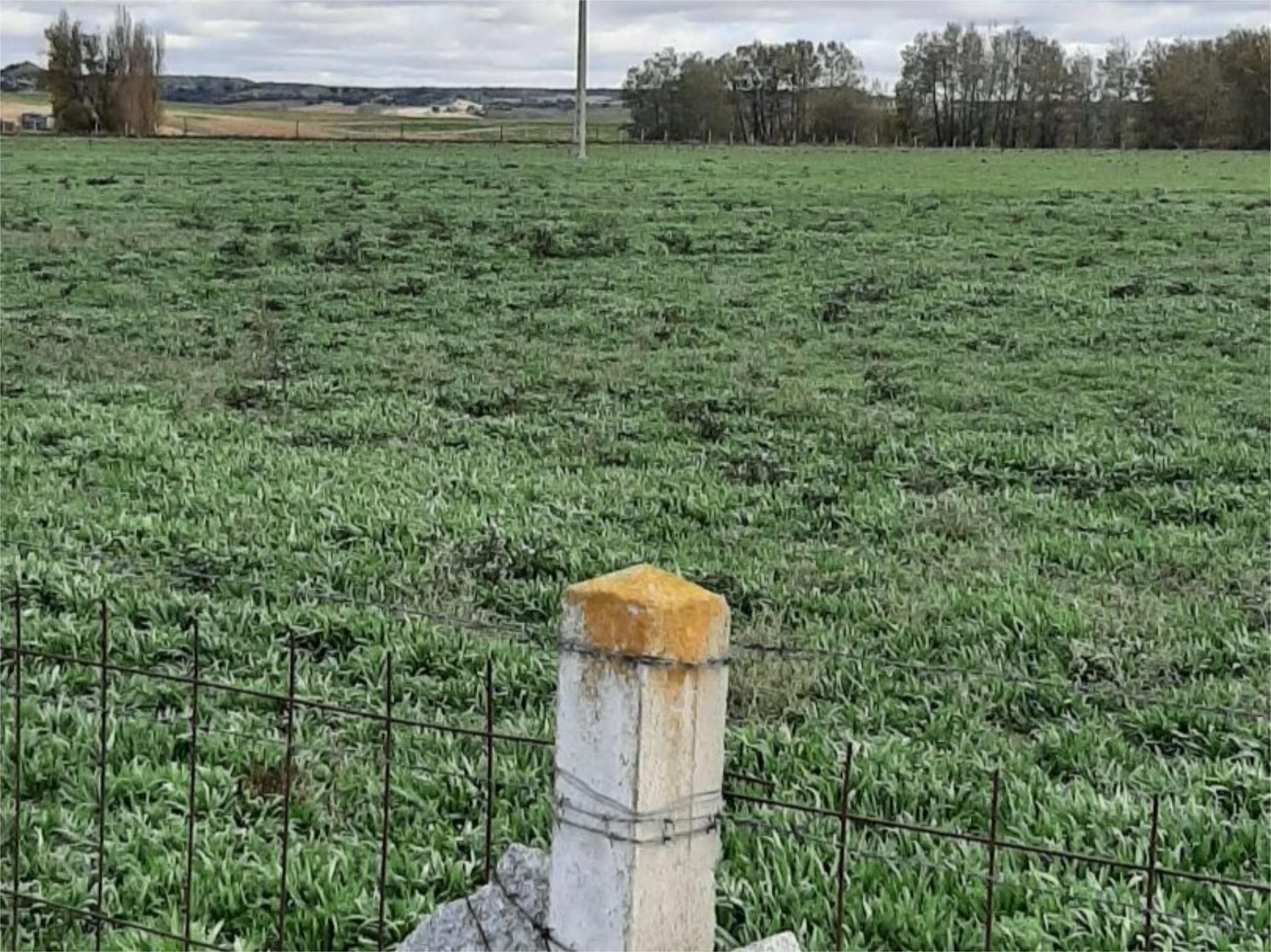 Land for sale in La Bóveda de Toro 