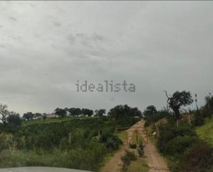 Terreny en venda en El Cerro de Andévalo