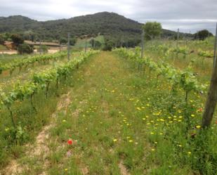Non-constructible Land for sale in Blanes